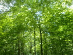 CIMG7363.JPG
